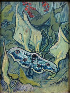 Paon de nuit - Vincent van Gogh